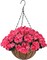 Spring Bloom: Hanging Basket with Artificial Flowers
